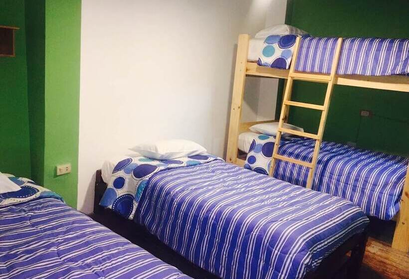 공동 객실, Blacky Hostel And Apartments