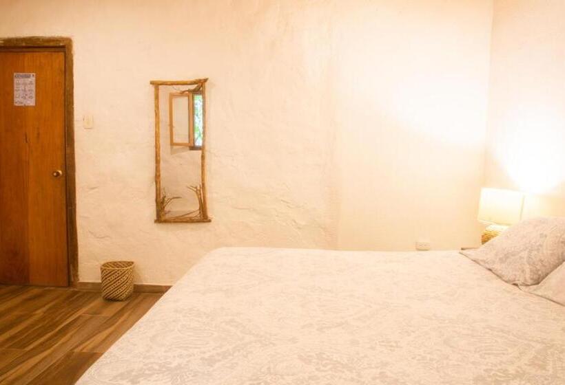 이코노미 룸, Masaya Casas Viejas