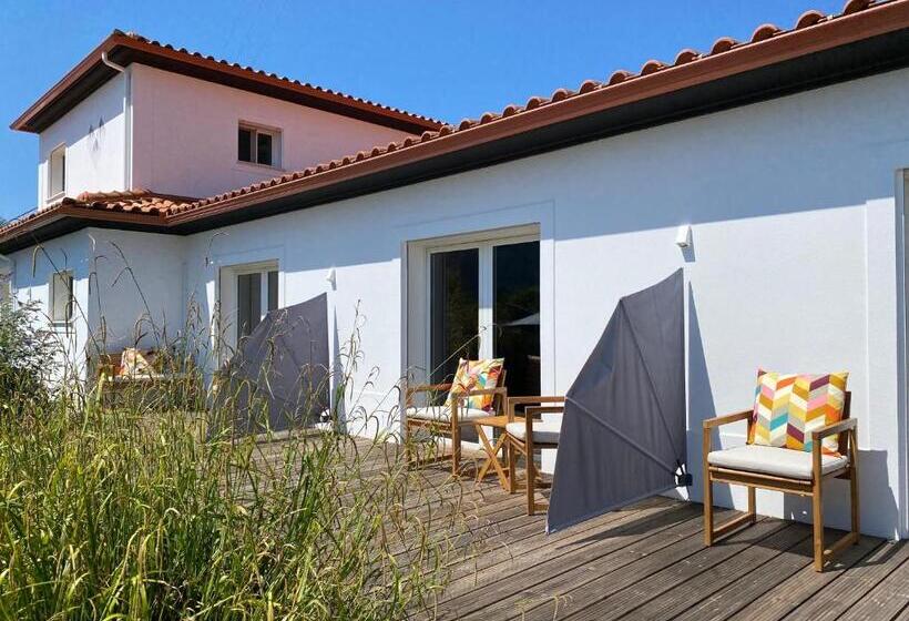 اتاق استاندارد, Casa Carvalhal   Adults Only
