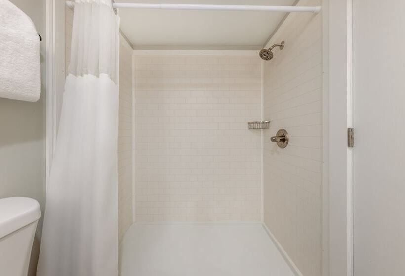 Monolocale Standard, Raintree's Park Plaza Park City