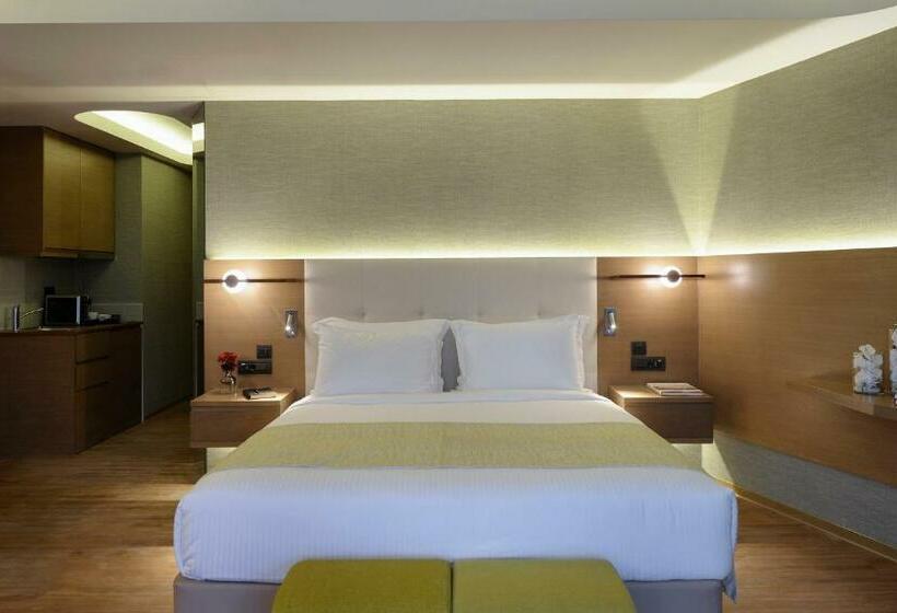 수피리어 전망 룸, Wyndham Athens Residence