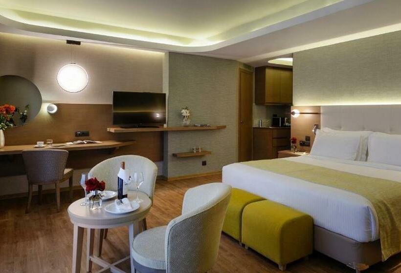 이그제큐티브 룸, Wyndham Athens Residence