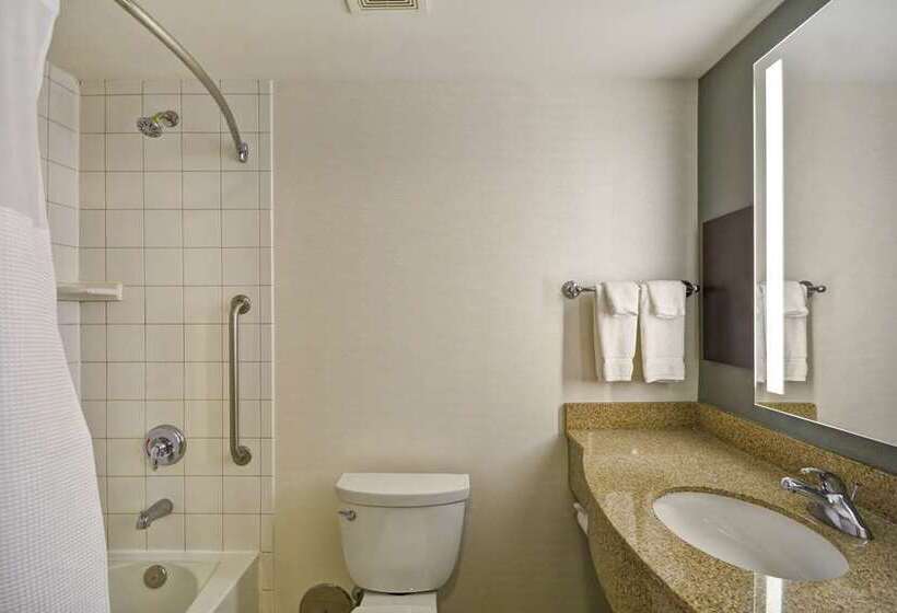 اتاق استاندارد با تخت بزرگ, Canopy By Hilton Dallas Uptown