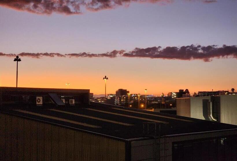 تختخواب در اتاق مشترک, Newton Lodge Auckland