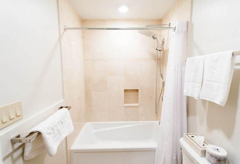 带1个卧室的高级公寓, Sydney Boutique Inn & Suites