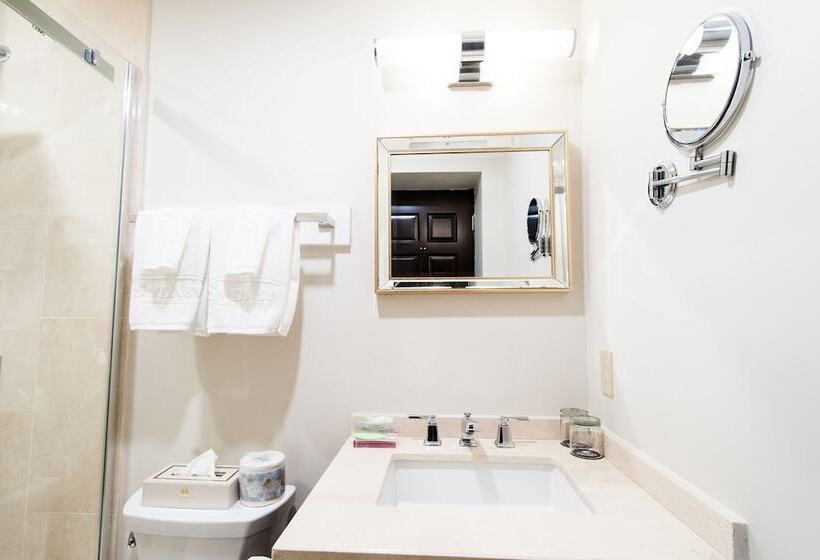 带1个卧室的豪华公寓, Sydney Boutique Inn & Suites