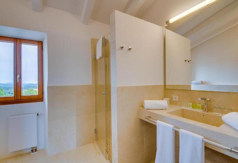 Номер Deluxe Кровать Кинг, Carrossa Hotel & Spa
