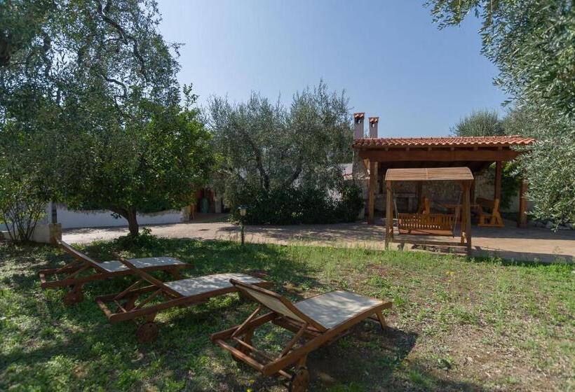 آپارتمان سوپریور 1 خوابه, Borghetto Tio Pepe