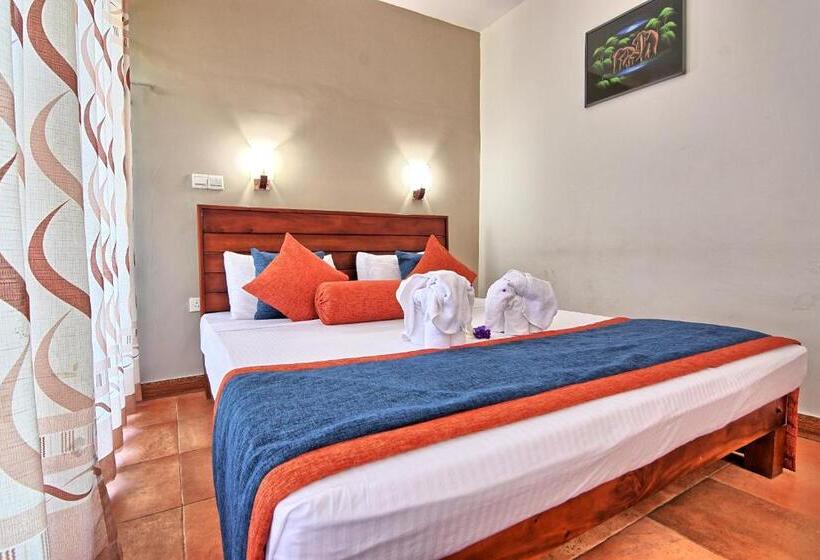 Quarto Superior, Oak Ray Ella Gap