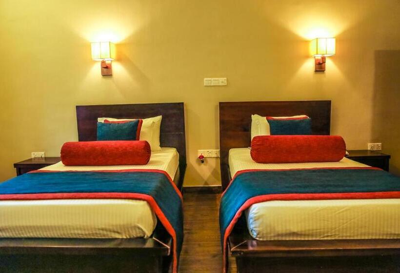 Quarto Superior, Oak Ray Ella Gap