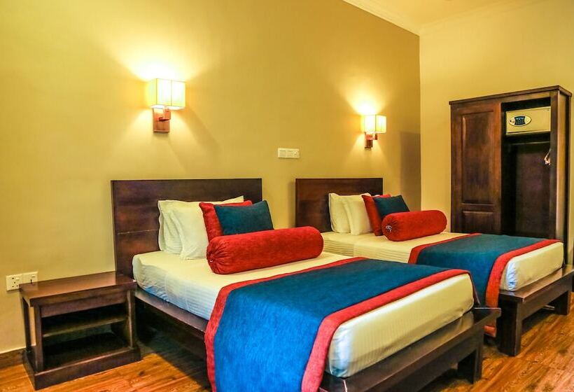 Quarto Superior, Oak Ray Ella Gap