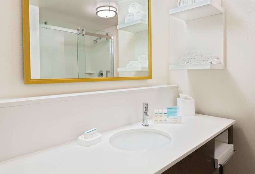 身障者適用スタンダードルーム, Hampton Inn & Suites Atlanta Buckhead Place
