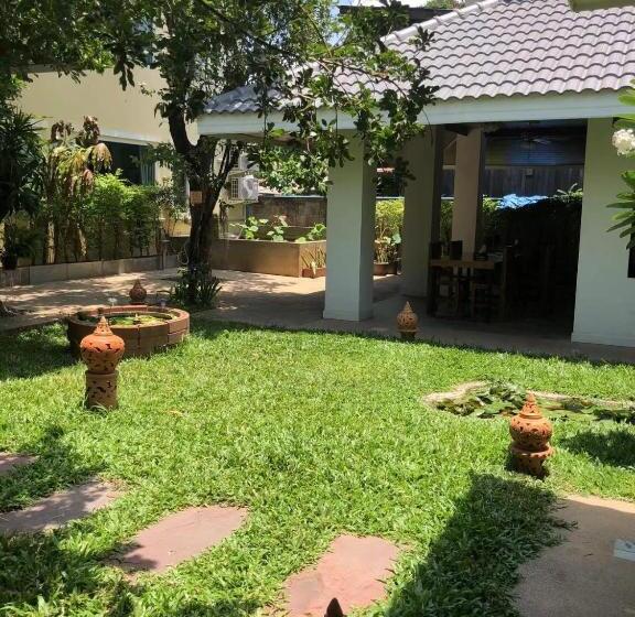 家庭间, Celosia Chiang Mai