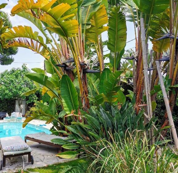 חדר דלוקס, Blue Dream Cannes Guest House