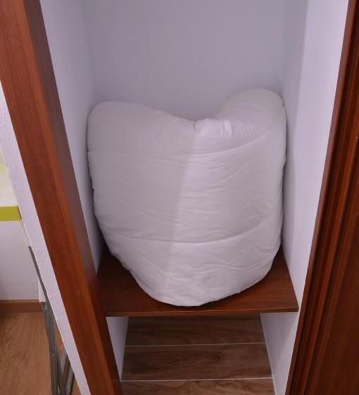 单人基本间, Ararat Hostel
