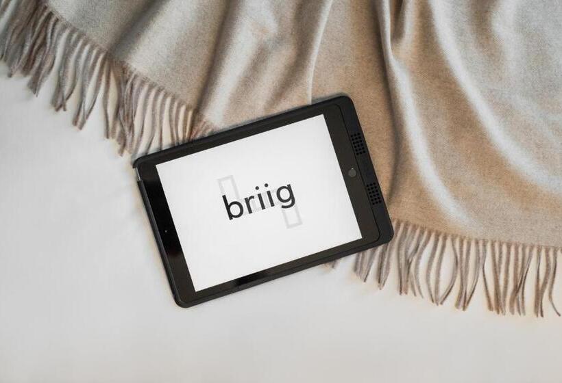 디럭스 룸 도시 전망, Briig Boutique