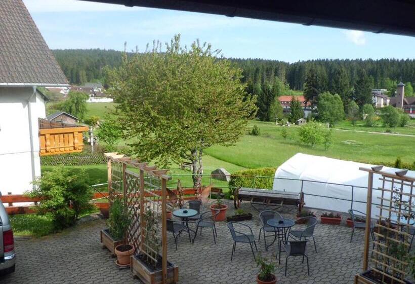 Номер Стандарт, Pension Wiesengrund