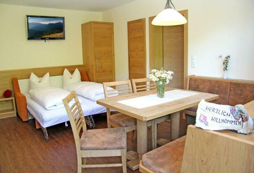 آپارتمان لوکس 1 خوابه, Aparthotel Hohe Brücke