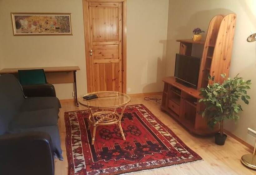 带1个卧室的公寓, Skeisvang Gjestgiveri