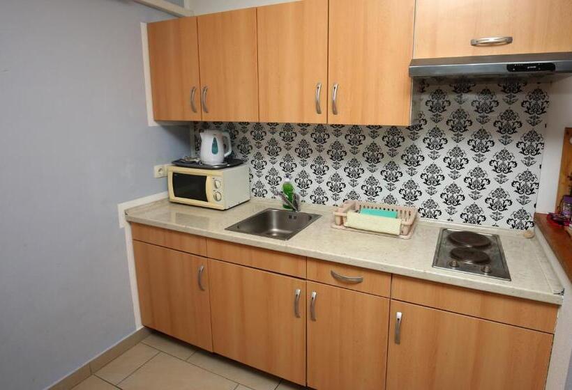 آپارتمان 1 خوابه, Apartments Furman   Self Check In