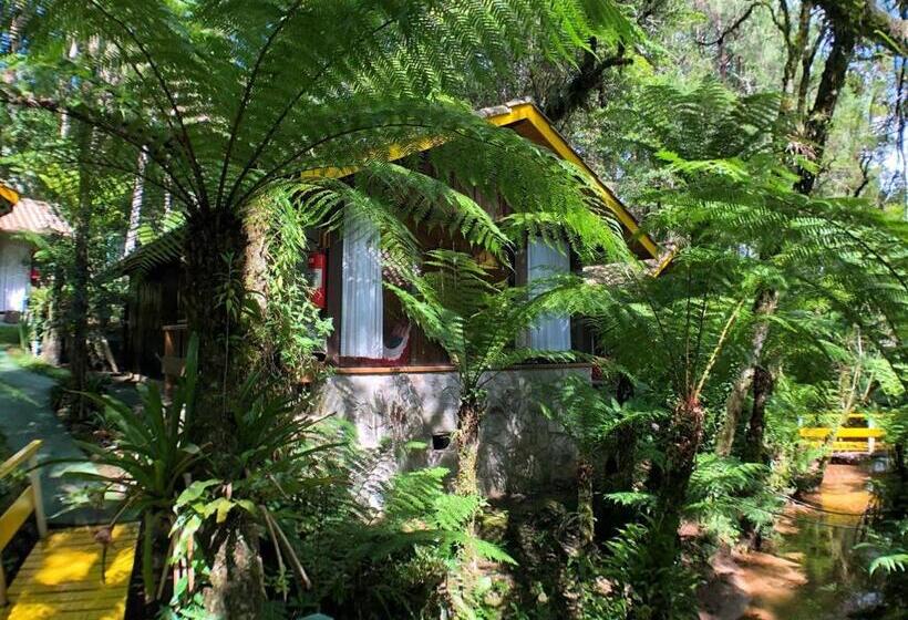 Шале 1 Спальня, Pousada Villa D'amore