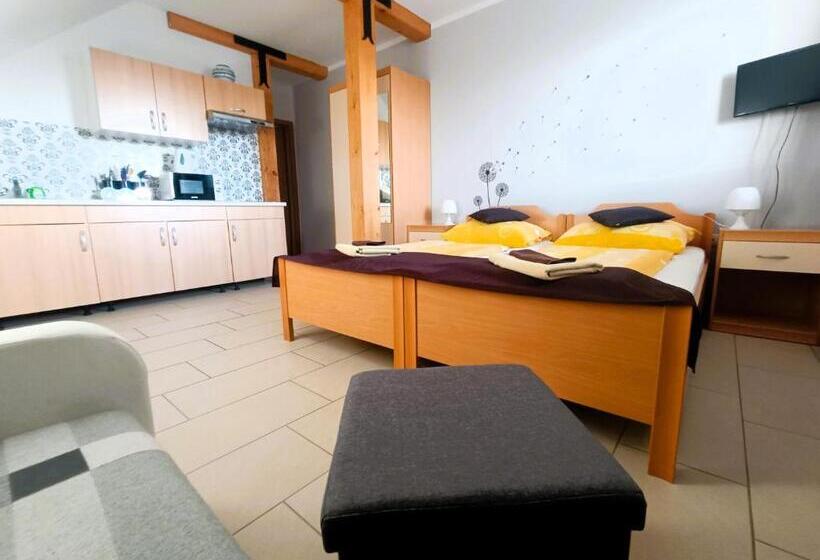 اتاق استاندارد, Apartments Furman   Self Check In