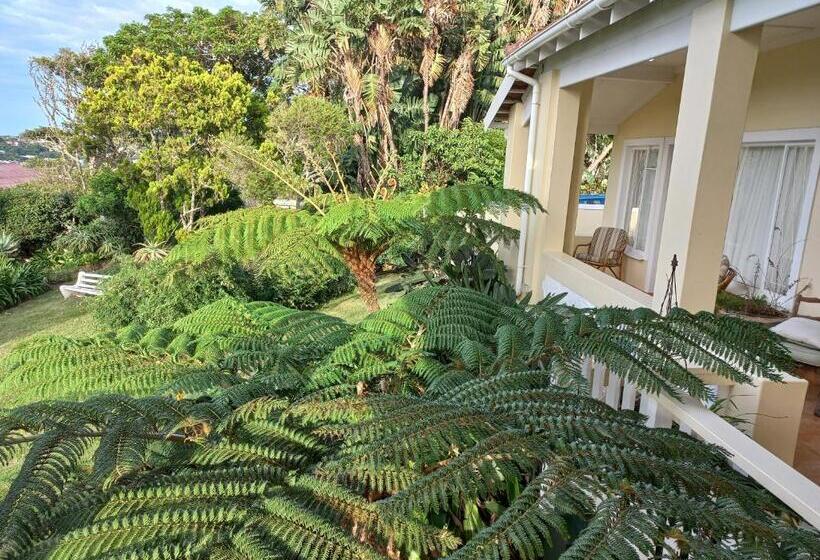 디럭스 룸 바다 전망, Villa Vista Guest House