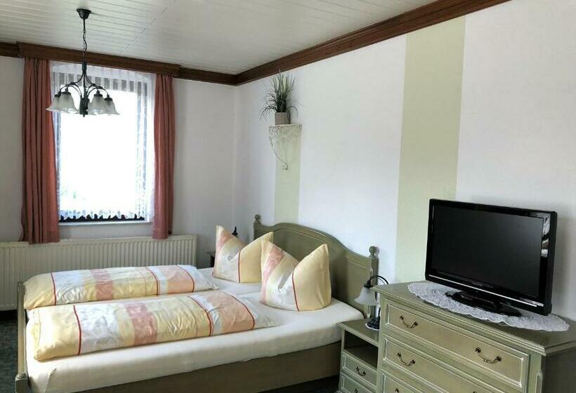 Номер Стандарт, Pension Bennelliebschanke