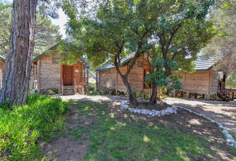 Номер Стандарт Вид на Море, Sea Valley Lodge