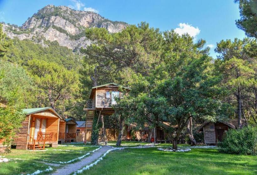 Дом 1 Спальня, Sea Valley Lodge