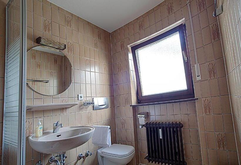 Номер Стандарт, Eisberg Gästehaus & De Luxe Appartements