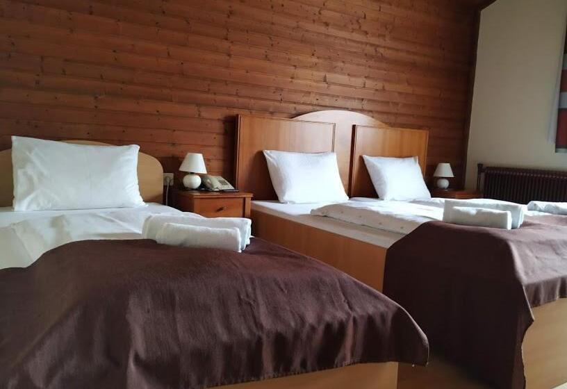 Номер Стандарт Трехместный, Pension Tilly
