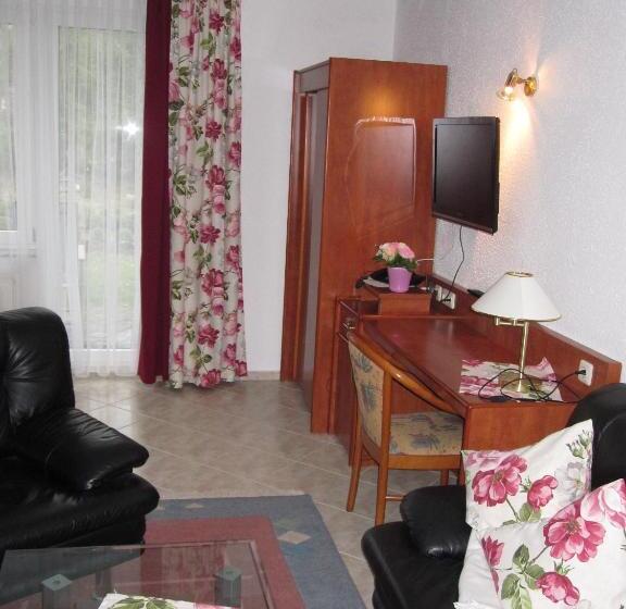Студия Стандарт, Urlaubspension 'hohes Rott' Und Apartmenthaus