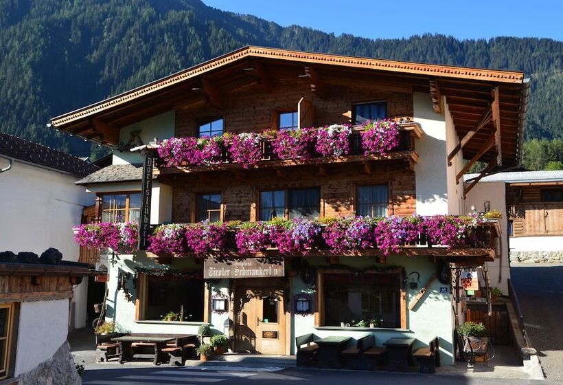 اتاق کلاسیک یک تخته, Resort Alt ötztal