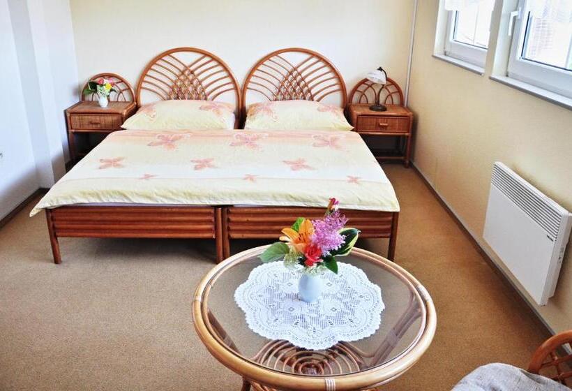 Номер Стандарт, Pension Habermannova Vila