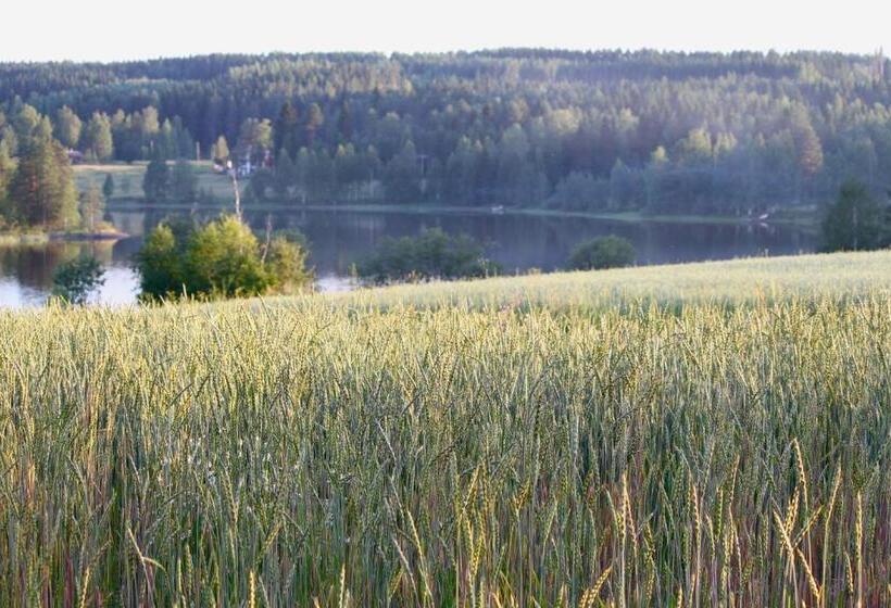 Номер Стандарт, Guesthouse Kumpunen