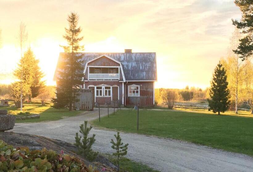 Номер Стандарт, Guesthouse Kumpunen