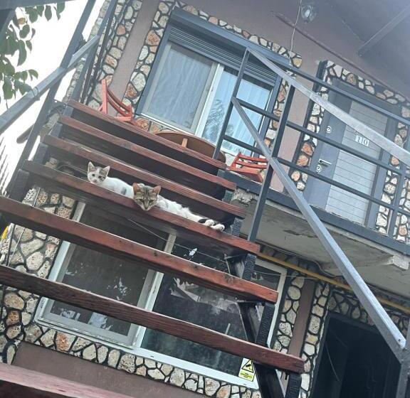 اتاق استاندارد با تخت بزرگ, Casa Yachi Vama Veche