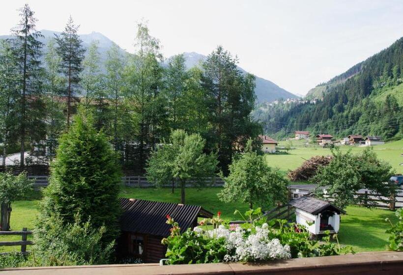 Апартаменты 1 Спальня, Scheibenhof