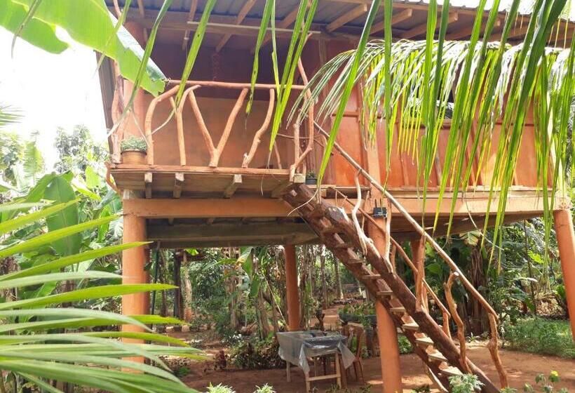 غرفة إقتصادية ثلاثية, Sigiri Aliya Tree House
