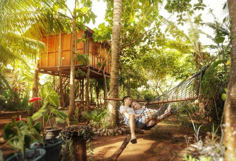 غرفة إقتصادية ثلاثية, Sigiri Aliya Tree House