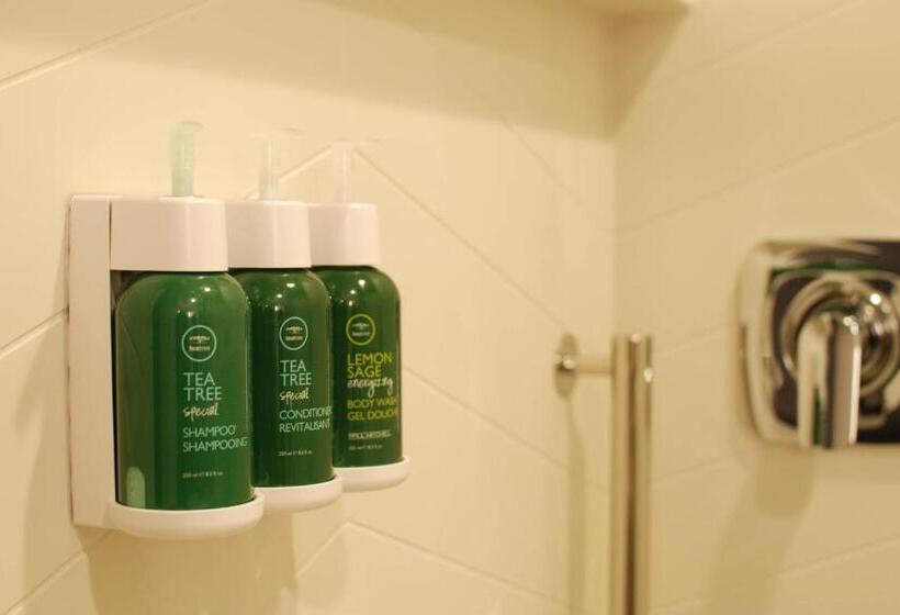 스위트 킹사이즈 침대, Fairfield Inn & Suites Winona