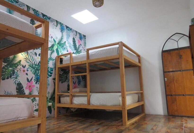 四人标准间, Hoja Santa Posada