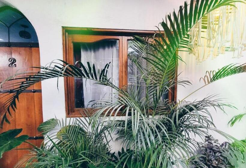 带大床的标准间, Hoja Santa Posada
