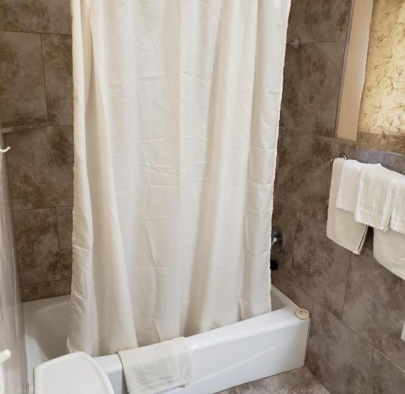 Номер Deluxe, Encino Motel