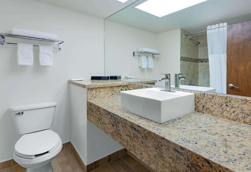 商务房间, Days Inn By Wyndham Piedras Negras