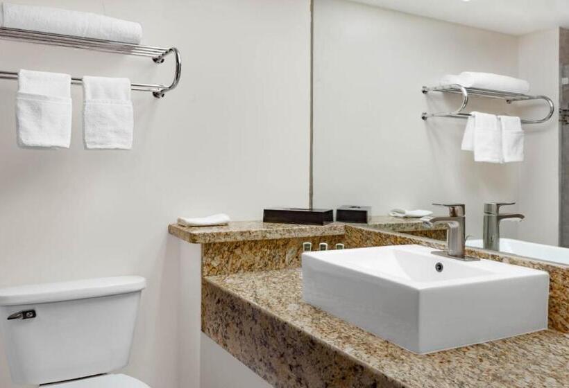 商务房间, Days Inn By Wyndham Piedras Negras