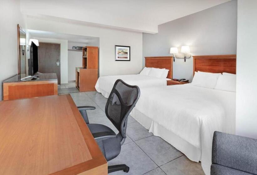 비즈니스룸, Days Inn By Wyndham Piedras Negras