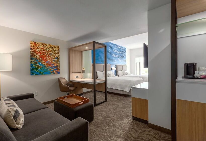 סוויטה, Springhill Suites By Marriott Bradenton Downtown/riverfront