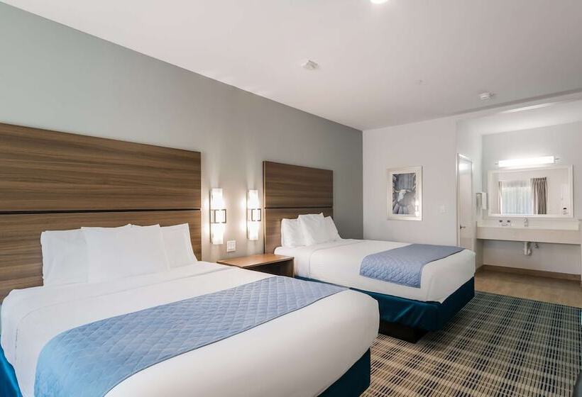 Номер Deluxe, Americas Best Value Inn & Suites Porter North Houston